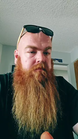 #xyzbca #fypシ #beardsoftiktok #ginger #norse 