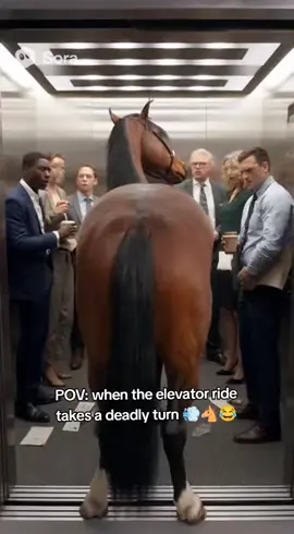 #funnyanimals #funnyvideo #viralvideo #aiart #absurdhumor 