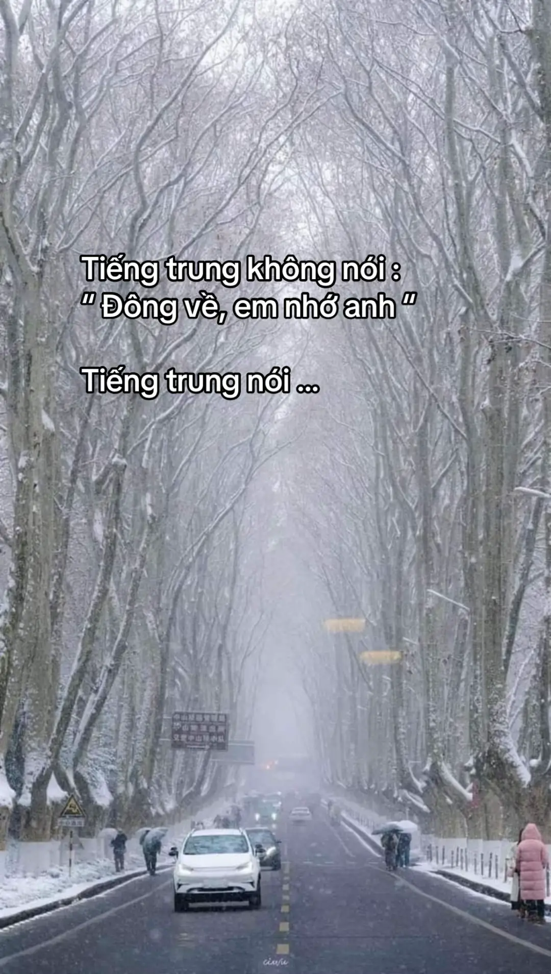 Liệu anh sẽ đến chứ …  #hoccungtiktok #hoctiengtrung #hoccungchang #tiengtrunggiaotiep #tiengtrung 