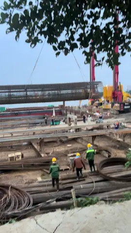 #cầu tứ liên#xuhuong#