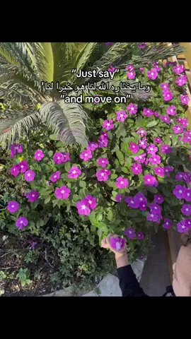 #fyp #foryou #explore #بدون_موسيقي #viral 