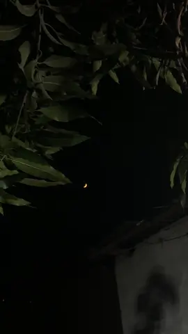দেখো না তুমি আর ,আমিও যে দিশেহারা..!!😅❤️‍🩹   #fyp #foryou #moon_lover_29 #videography #moon 