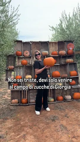 Vedere il nostro lavoro trasformarsi in emozione è davvero incredibile🥹 🎃Per chi ancora non è venuto al Campo, vi aspettiamo l’1 e il 2 Novembre dalle 9:00 alle 17:00 Info al 3473935634