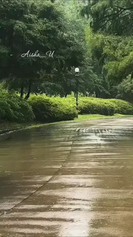 Aap Ki Nazron Ne (Song) #goviral #foryoupage #foryou #fyp #song 