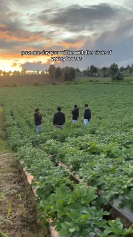 #petaniindonesia🇮🇩🇮🇩🇮🇩🌿🌿 #petani #petanikentang #petanimuda #fyp 