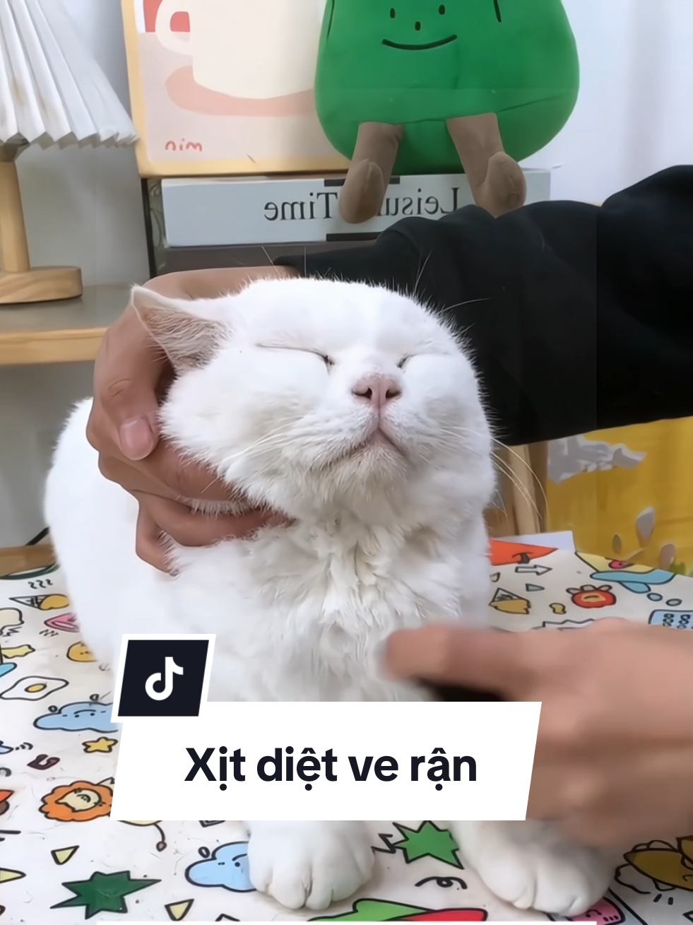 Muốn chó mèo hết ve rận thì mấy bà thử ngay đi nha 🥰 #chomeo #thucung #chomeobiveran #thuocdietveran #yeuchomeo99 