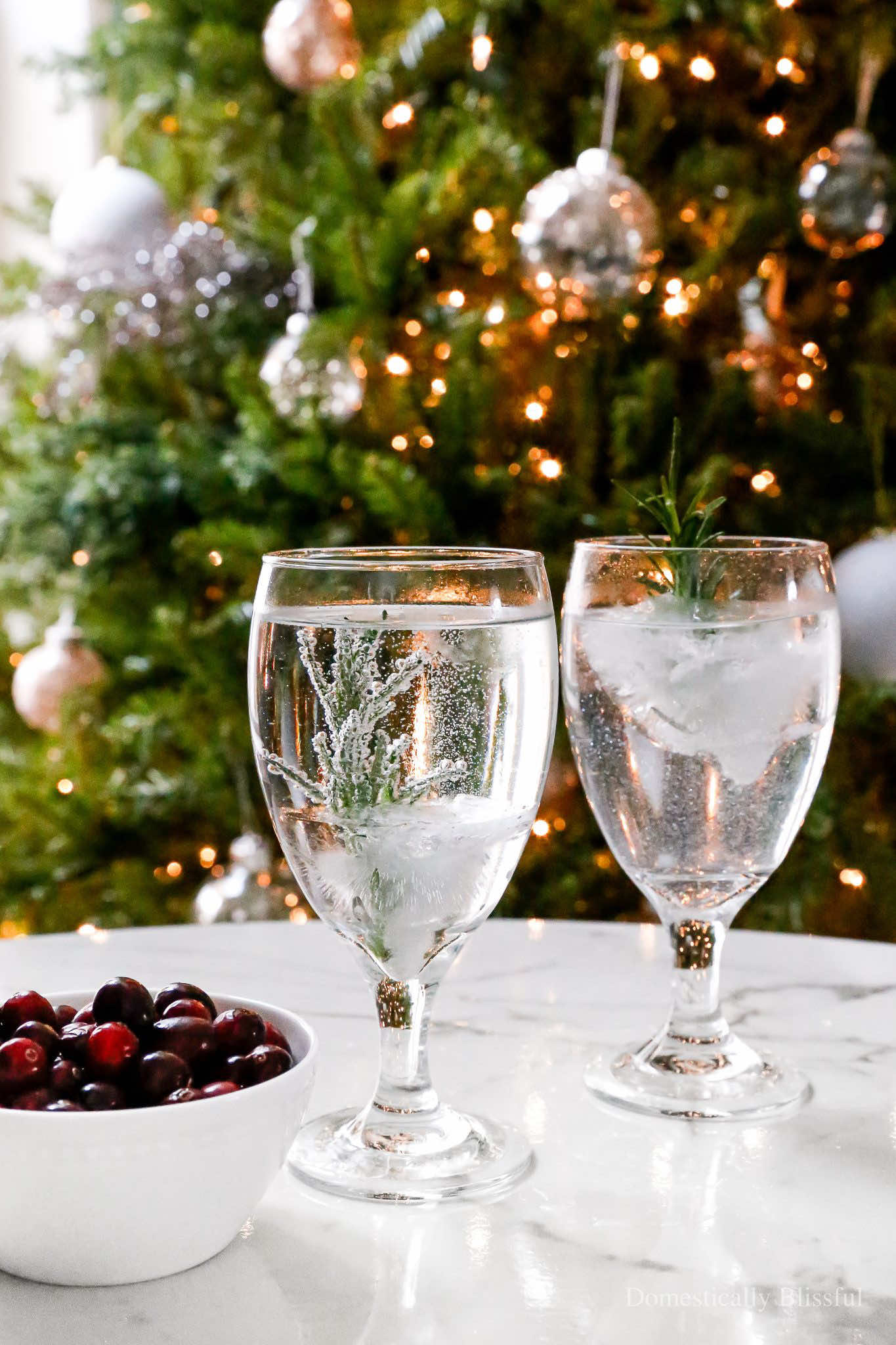 GO to my Profile + tap 🔗 + type “Rosemary Christmas Tree Ice” into the search bar for all of the details. 