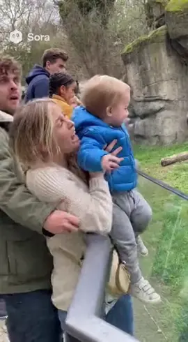 OMG #baby #gorilla #unfall #fy #fyp 