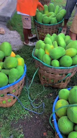 Jam malam 🚀#fypage #xybca #pepaya #lumajang 