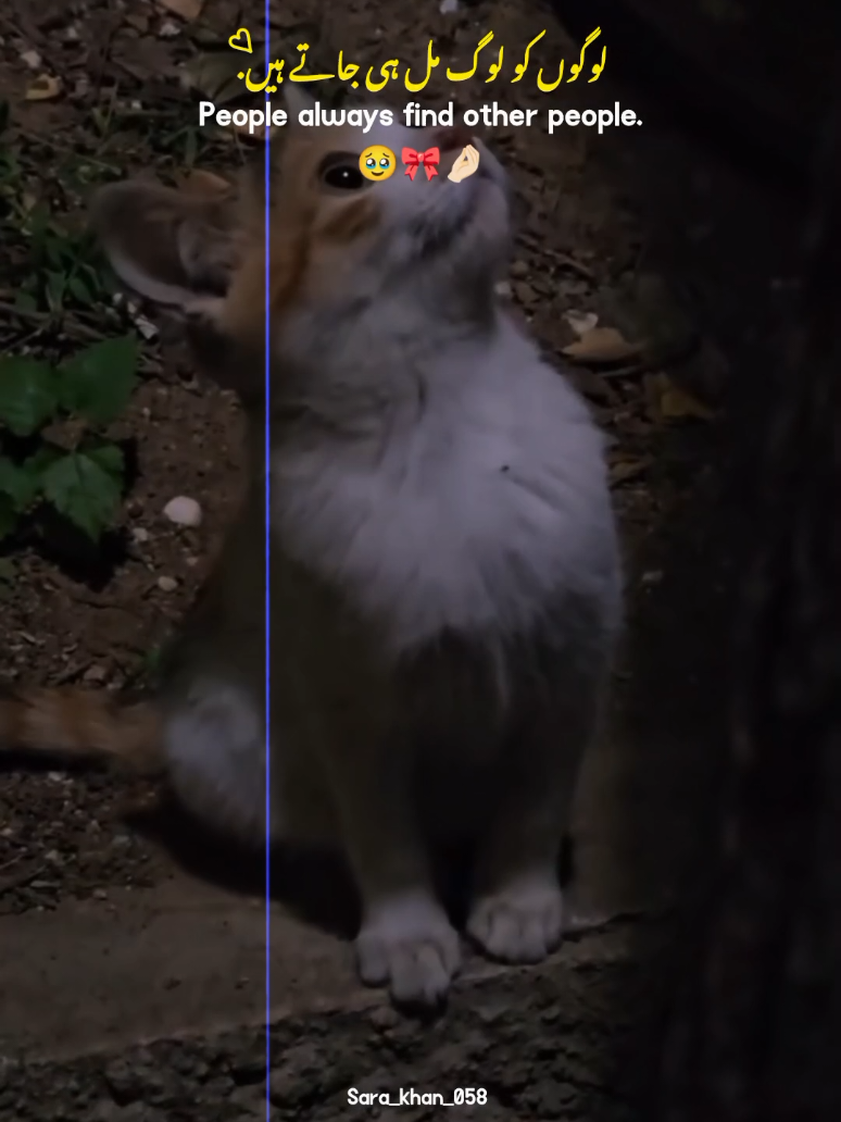 Agree 🥹🎀 | | sad 🥹 | | heart touching ❤️💯 | | sad status video 🥹🙌🏼❤️ | | Mention them 🥹 #sad #hearttouching #statusvideo #plzunfrezemyaccount🙏 #foryoupage @TikTok @tiktok creators @tiktok pakistan official 