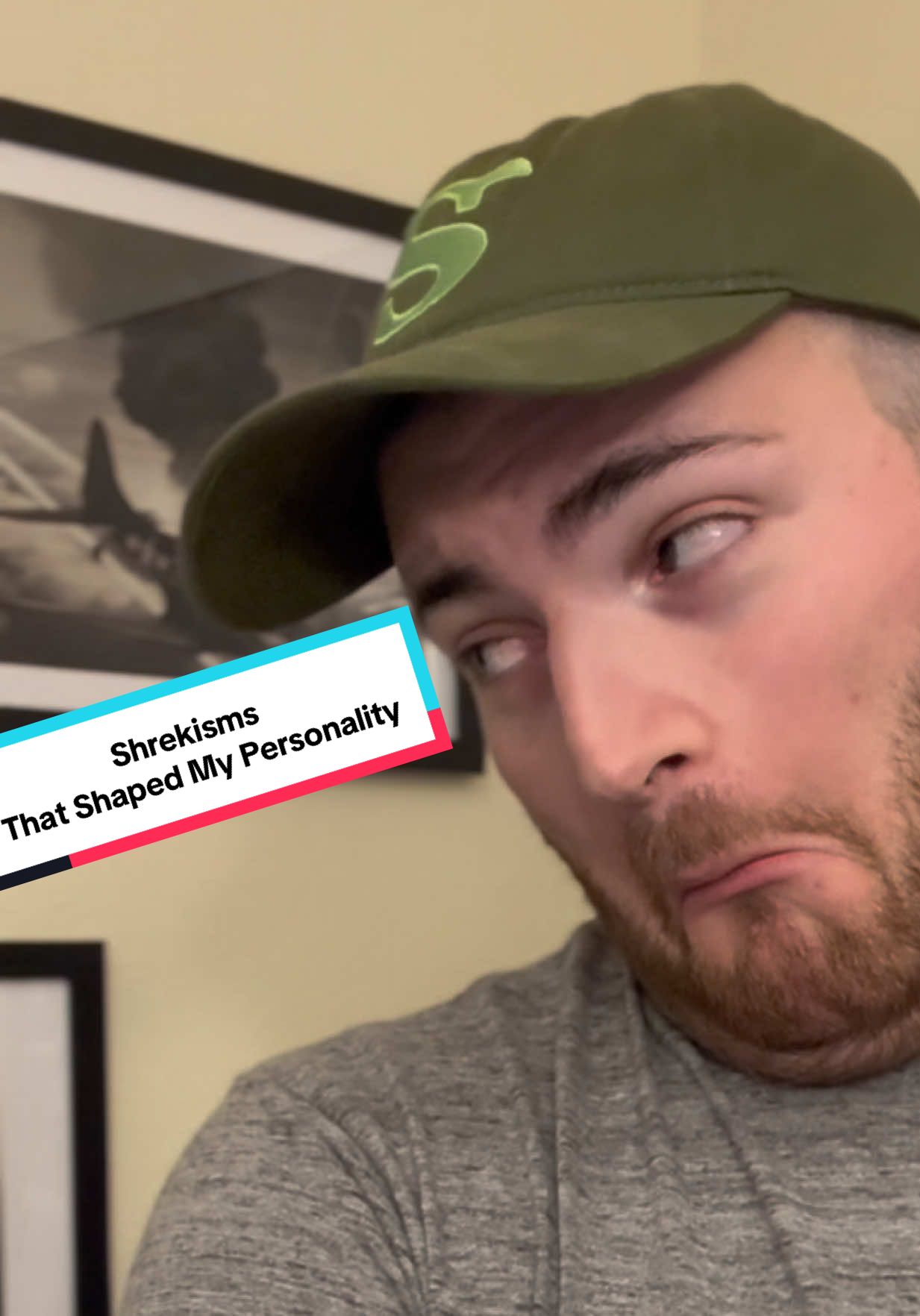 There’s layers to these phrases - and I use them daily 🧅 #Shrek #MovieQuotes  #SwampTalk #nostolgia 