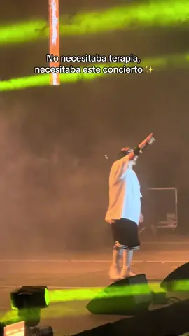 Sanando con este concierto ❤️‍🩹 #bubaseta #kingkongclick #movistararena #bubasetabogota 