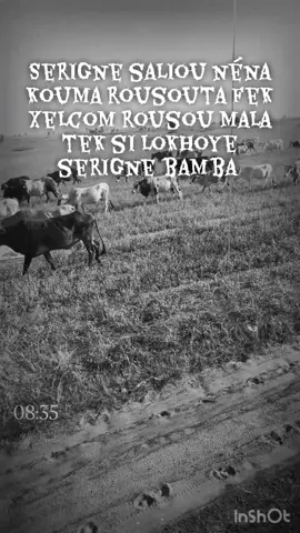 #hisboutarkhiyadaroukhoudoss😭 #mouride_sadikh_officiell #khassidayi_rek #khassida_mouridiyya #tik_tok 