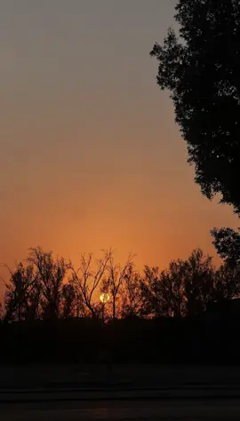 #لاحول_ولا_قوة_الا_بالله_العلي_العظيم #quran #قران_كريم #الجمعه #ذكر #اللهم_صل_وسلم_على_نبينا_محمد #ابن_عثيمين #سبحان_الله_وبحمده_سبحان_الله_العظيم #ابن_باز 