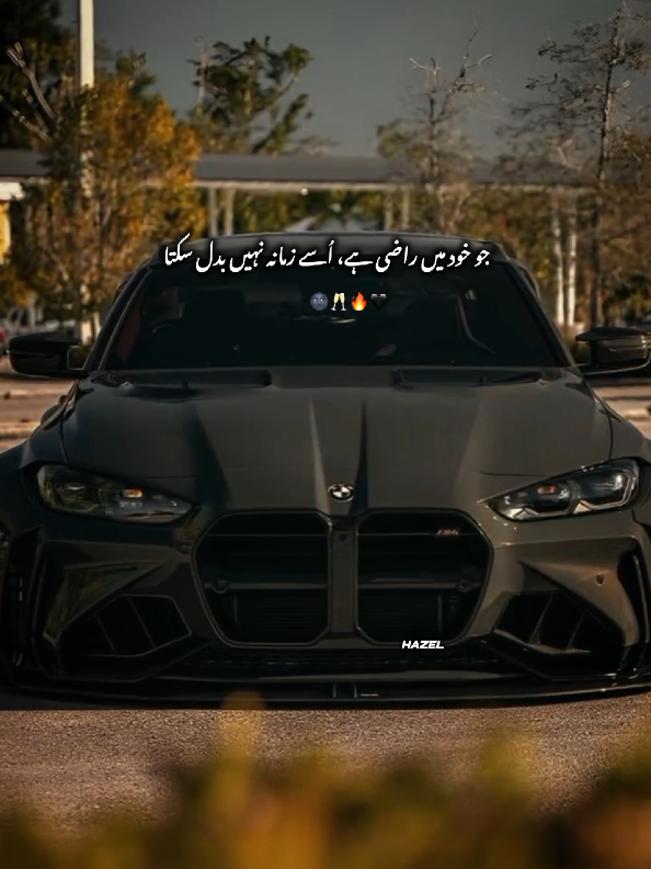 وہ کہتے ہیں کہ آپ اچھی نہیں ہو،ان سے کہنا کہ سورۃ الرحمٰن پڑھا کریں🌚🖤#hazel_873 #goviral #foryou #foryoupage 