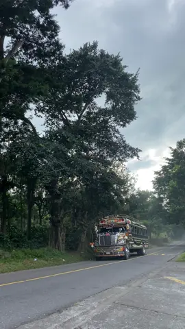 San Francisco 🚍🇬🇹#🚍🇬🇹 #🚍🇬🇹 #viral #busesguatemala #pfypシ 