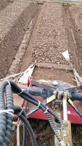 bà con bảo vụ sau lại về nhé cháu..! 