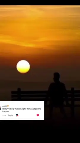 #oromotiktok❤️💚❤️ethiopiantiktok #fentysuperbrandday #cretersearchinsight #creatorsearchinsights #oromotiktok❤️💚❤️ethiopiantiktok #LanguageLearning 