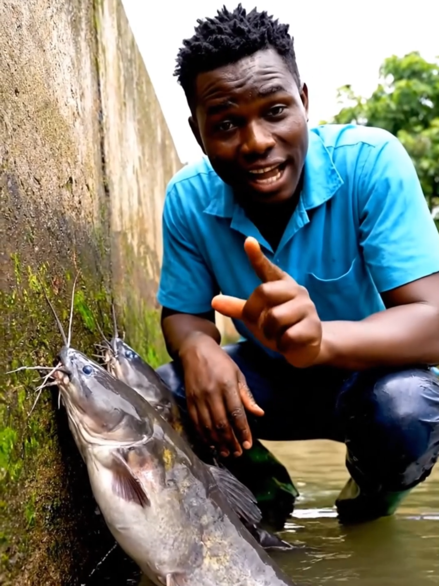 Why Your Catfish Are Rubbing Their Bodies on The Pond Walls Repeatedly #catfish #aquaculture