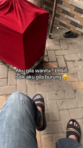 anti gila wanita🥱 #fypage #kicaumania #cucakijo #4u #masukberanda 