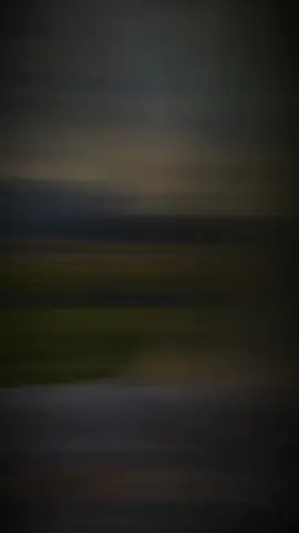 #CapCut  bên em ngày hạnh phúc ❤️❤️💦⭐💦⭐🤣💗💗#CapCut #topxuhuong #viralduyenchillmusic #xuhuong 