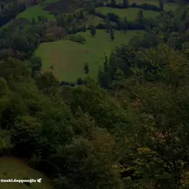 Bir qızm olmadan öldürme Allah 🙏 Müəllif:@Mirələm Məmmədov🖋️  Səsləndirən:Nəbi Daşqınoğlu #qızım #nebidasqinoglu #keşfet #şeir #şeirlər 