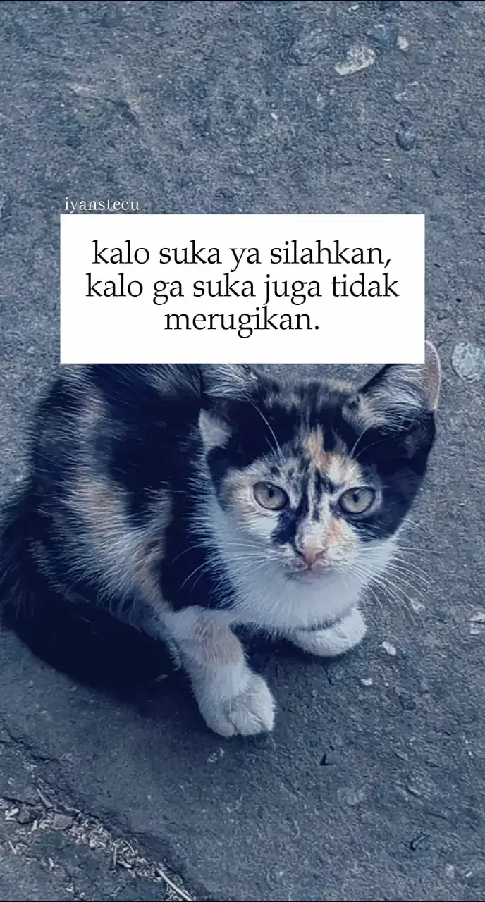 #fyp #iyanstecu #story 