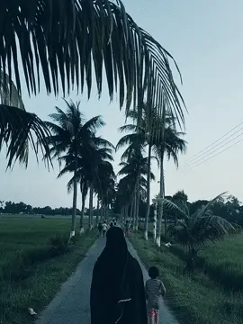 #CapCut 