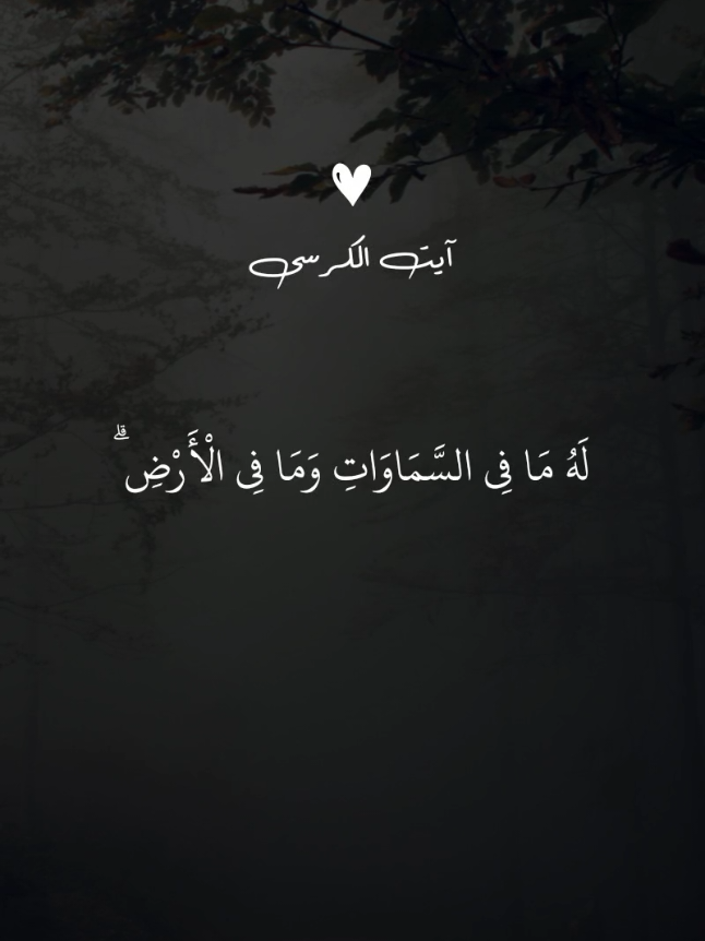 ayatul kursi #quran #usa #usa #quran_alkarim #quran_alkarim 