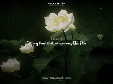 一盏关山酒，敬这世间清莲。 不染尘，不负心。 Một chén Quan Sơn rượu, kính tặng đóa sen thanh khiết giữa đời. Không vướng bụi, chẳng phụ lòng mình. .                                  _                                                                 _  #nhactrungquoc #关山酒 #quansontuu #vietsub #thanhmai02112005  