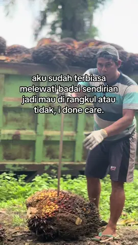 mau adu sama wak leman 😏#805SR🌴 #kulisawit #petanimuda 