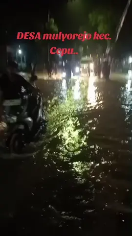 Banjir Desa Mulyorejo Kec. cepu