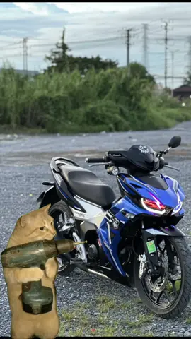 Trng bình ngày cúi từn của mấy người chơi xe 🤣 #rsx150🇲🇾🇻🇳 #winnerx #winerv3 #xuhuong #rs150rvietnam🇻🇳official 