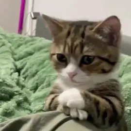 عمي ما اهتم🥰💔👍🏻✌🏻#funny #اشتاقيتولي_اشتاقيتلكم🌷✨ #ميسي #كريستيانو #عطلة 