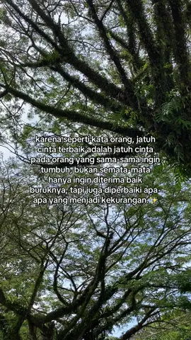 🤍#fy #fypシ #fyp #ronyparulian #salahiakukujatuhcintalagi 