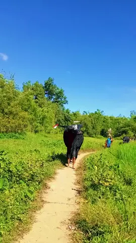 #ကွမ်းခြံကုန်းမြို့ #မန်းကလိပ်ကျွေးရွာ မဟာဘုံကထိန်ပွဲတော်#fyppppppppppppppppppppppp 