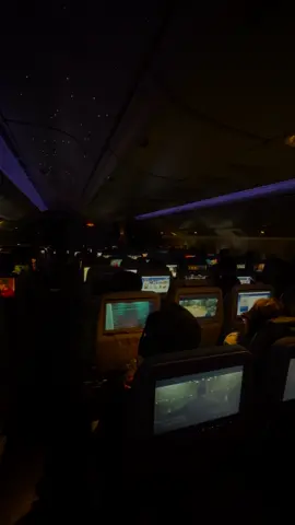 #airplane #labubu  #frankocean #fyp 