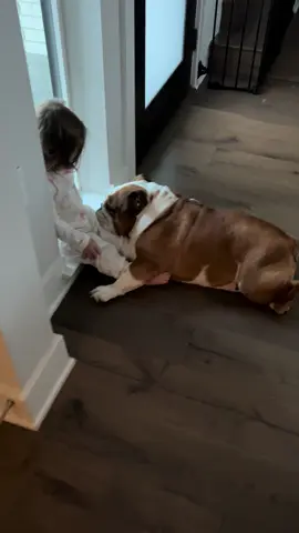 Their favorite spot  #englishbulldog #dog #toddler #parenting #texas 