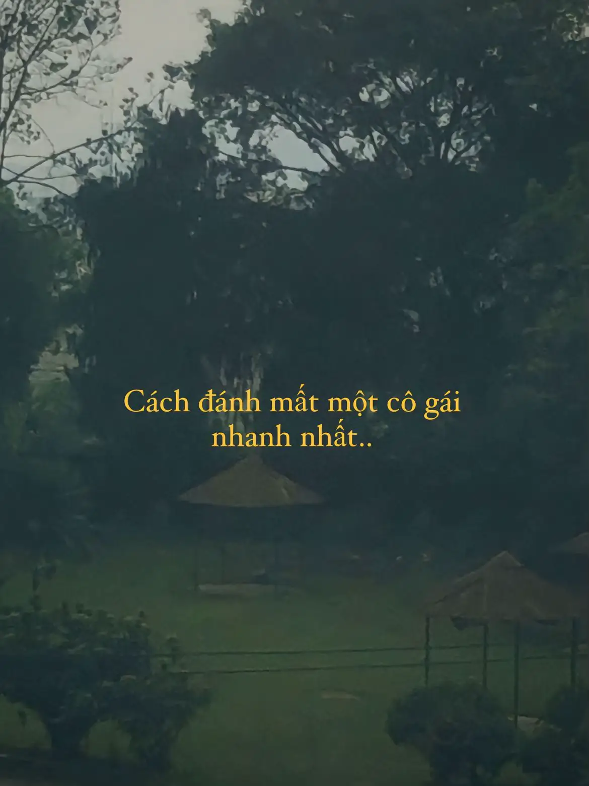 #tamtrangbuon #tinhyeu #🖤 #😔💔🥀 #💕 