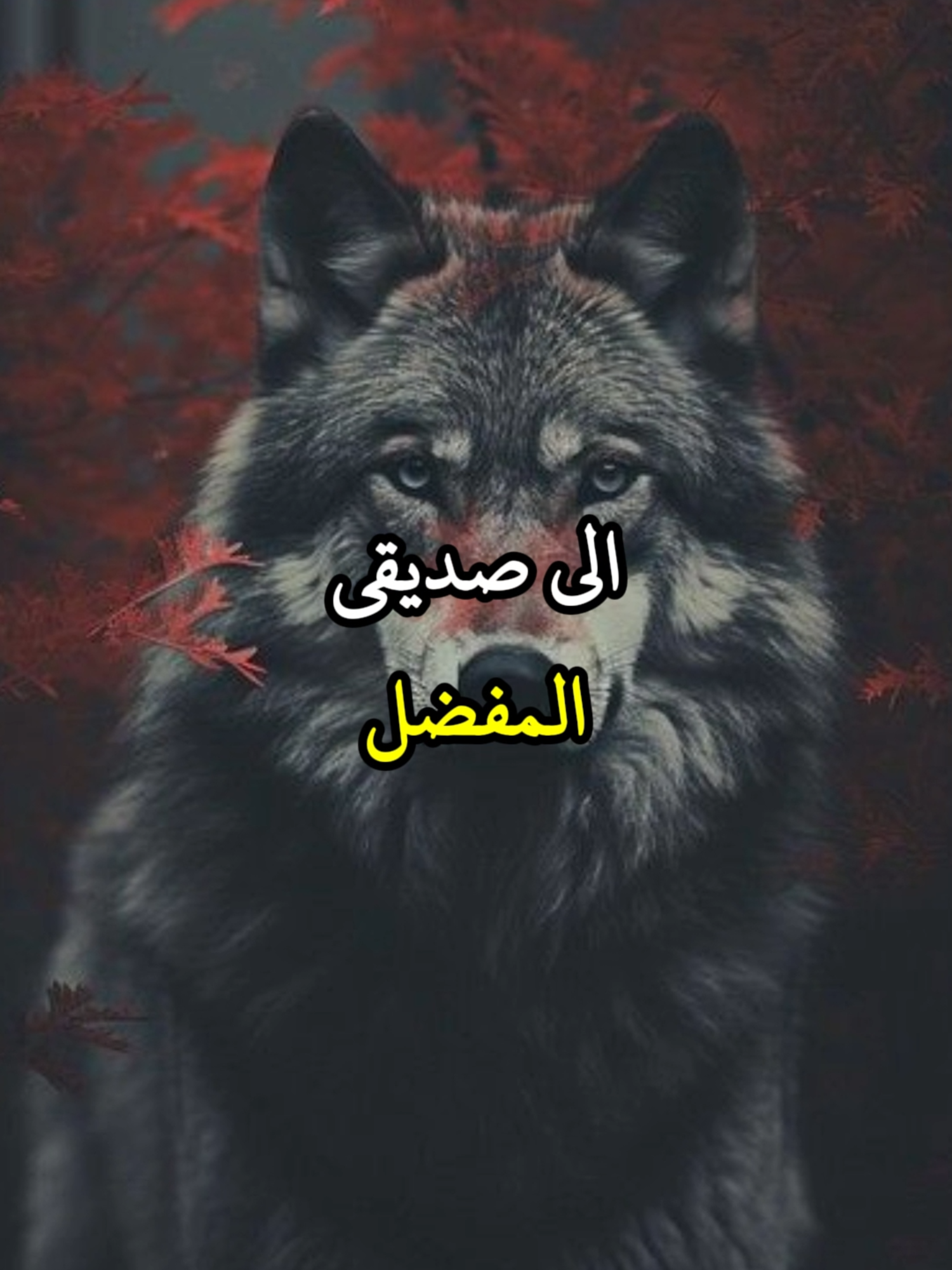 إلى صديقي المفضل #حكمة #خواطر #اكسبلور #اقتباسات #اطمئن #علم_النفس #نجاح #تحفيزات_إيجابية #تطوير_الذات_علم_النفس #كلام_من_ذهب #اقتباسات_عبارات_خواطر #explore #viral_video #psychology #fyp #motivation