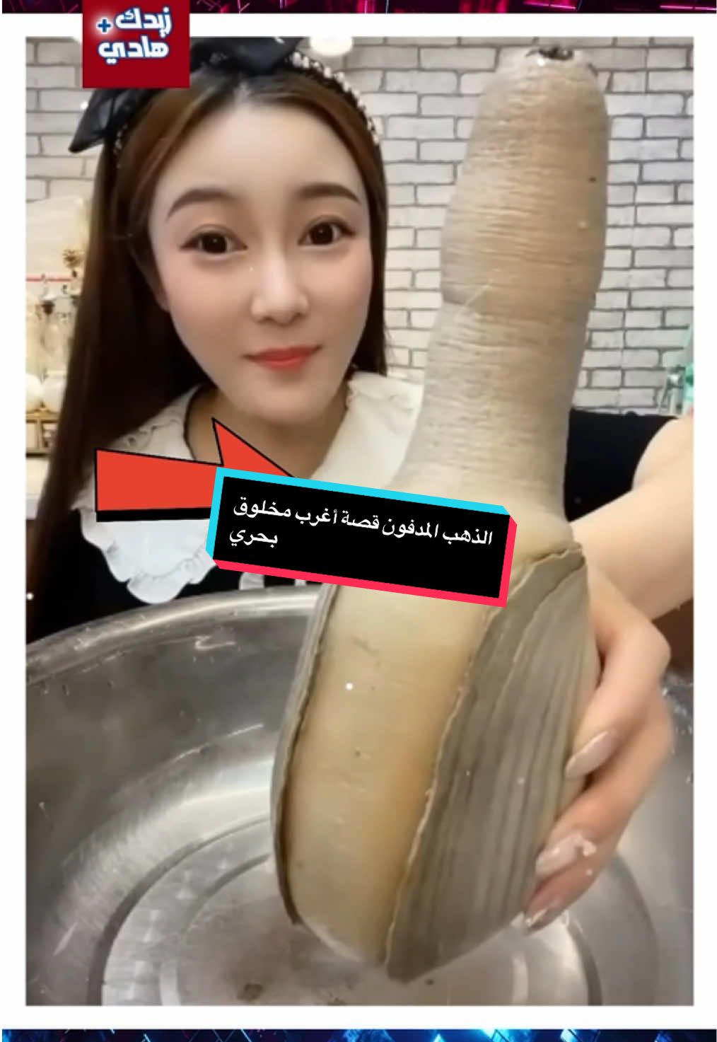 الذهب المدفون قصة أغرب مخلوق بحري#geoduck #محار #غريب 