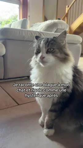 Je m’en veux trop #pourtoii #foryou 