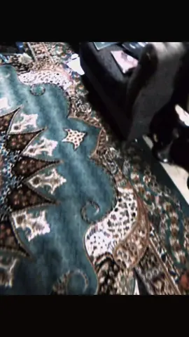 اعذرني مولاي 🥹😞😞😞😞#foryou #سرقة #مولاي #سادس #البير_كامو 