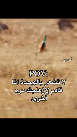 #حيدروف🇦🇪 