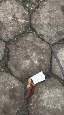 Buram bgt😭#fypsounds #platktiniboss #fyp 