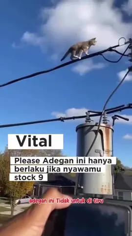 #fyp jangan di tiru kawan., #fyp 