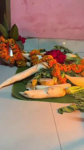 #😍😍😍 #its_me_renu77 #happychhatpuja #fypシ゚ #keepsupporting🙏 