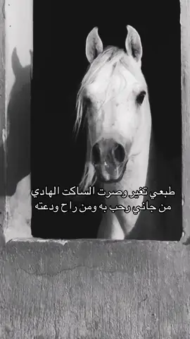 #خيل_وخياله🐎 #fyp #viral #اقتباسات #اكسبلورexplore 