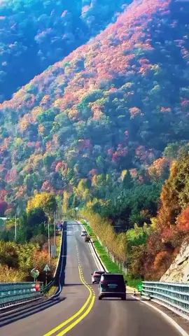 #القران_الكريم #اكسبلور 