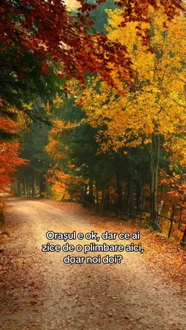 Ce alegi? #cezarexploratorul #fyp #toamna #5pasidebine 